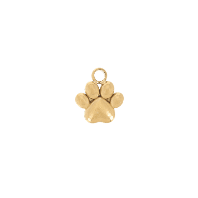 24 - Breloque patte de chien